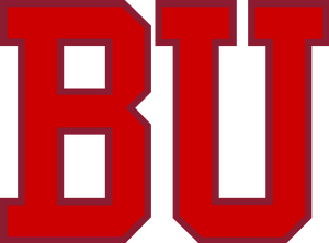 Logo 6